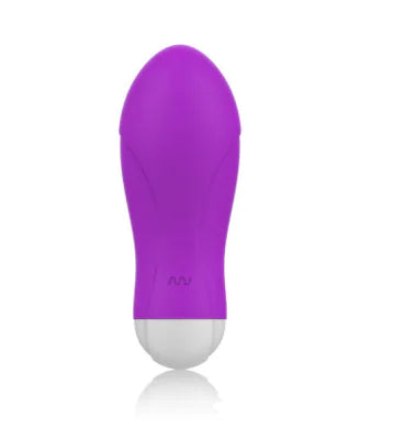APP Wireless Silent Smart Vibrating Egg for Women