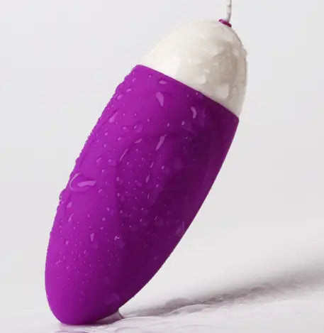 APP Wireless Silent Smart Vibrating Egg for Women